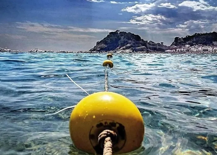 Portal 17 Tort Pensión Tossa de Mar