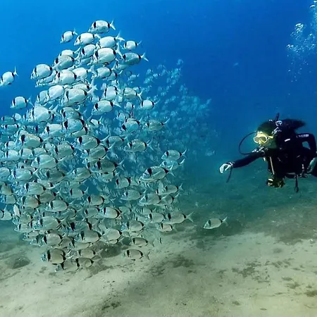 Πανσιόν Portal 17 Tort Τόσα ντε Μαρ