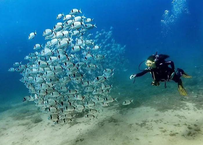 Pensjonat Portal 17 Tort Tossa de Mar